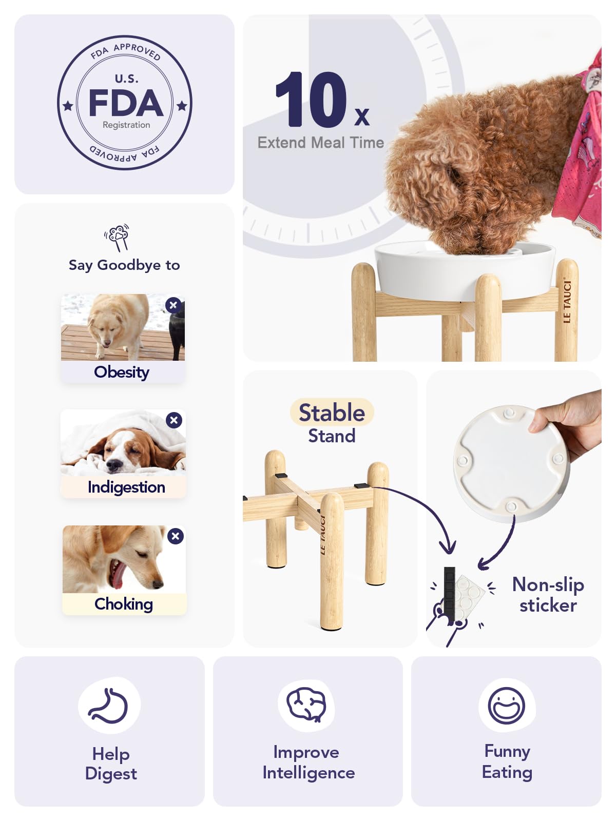 LE TAUCI elevated feeder bowl for small dogs supports comfortable eating position