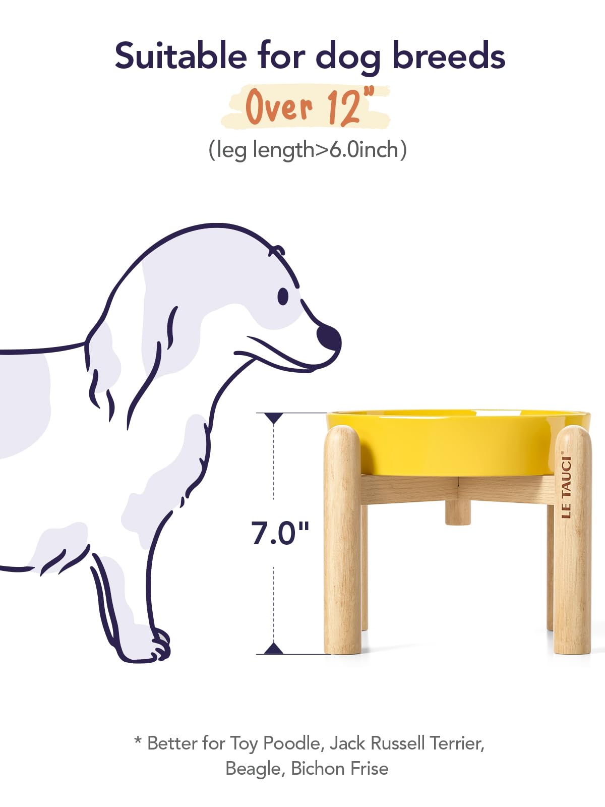 LE TAUCI non-slip base bowl keeps feeding area clean and stable.