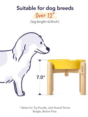 LE TAUCI non-slip base bowl keeps feeding area clean and stable.