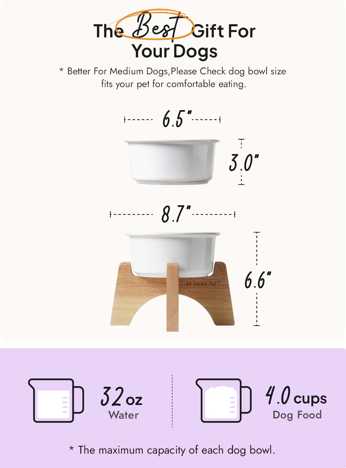 LE TAUCI PET ceramic dog bowl close-up highlighting microwave-safe glaze and easy cleaning.