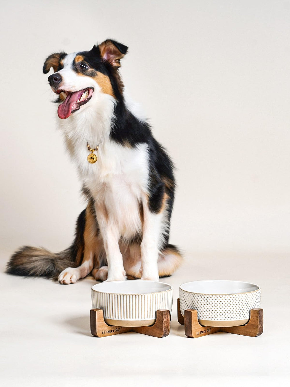 LE TAUCI PET ceramic bowls showing dishwasher and microwave compatibility