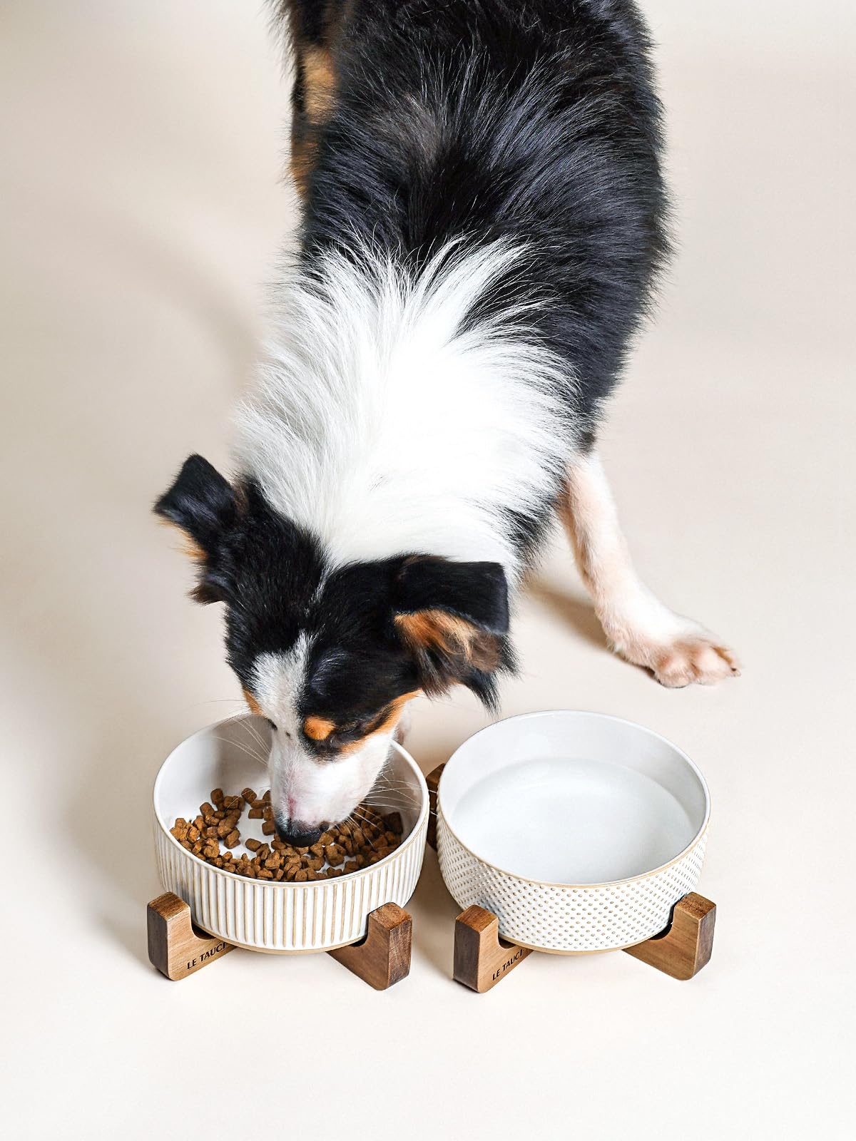 LE TAUCI PET bowls in use with a dog at mealtime