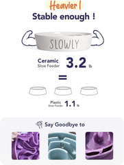 LE TAUCI PET ceramic slow feeder bowl white view emphasizing dishwasher-safe cleanup convenience