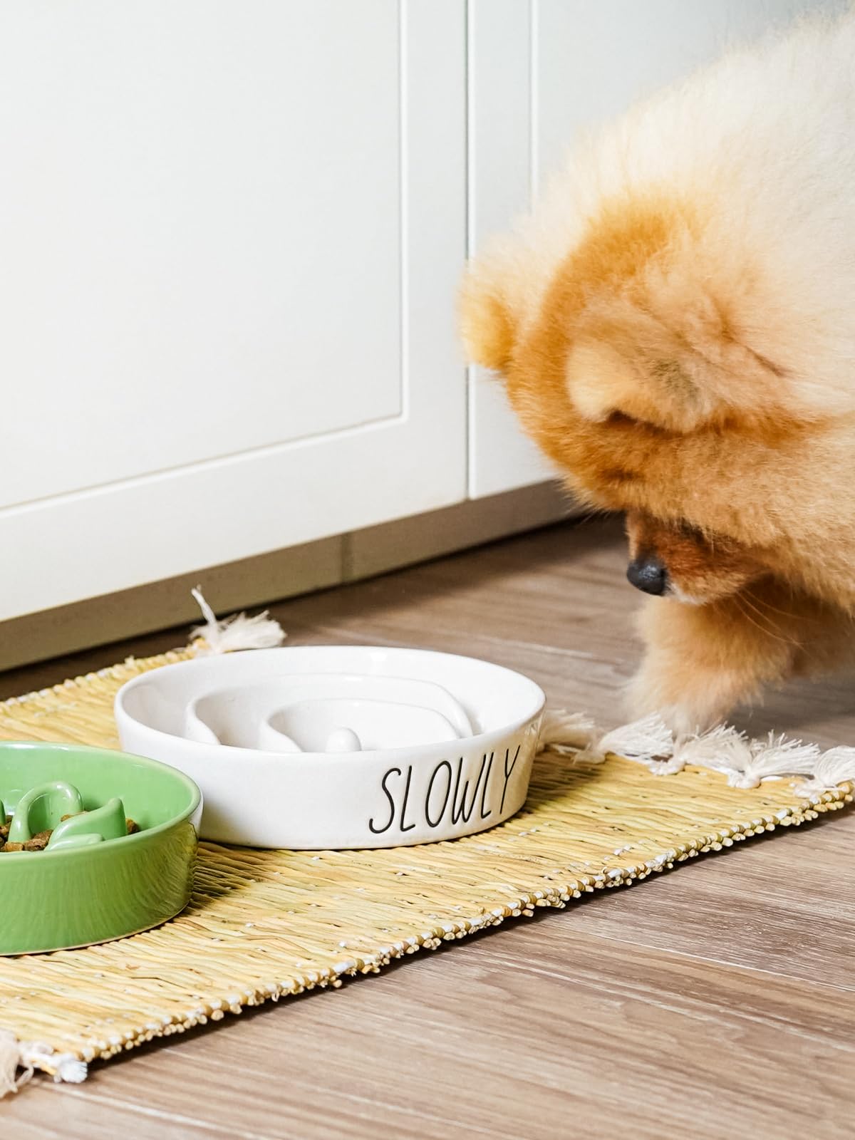 LE TAUCI PET ceramic slow feeder bowl white side close-up highlighting non-slip base for stable meals