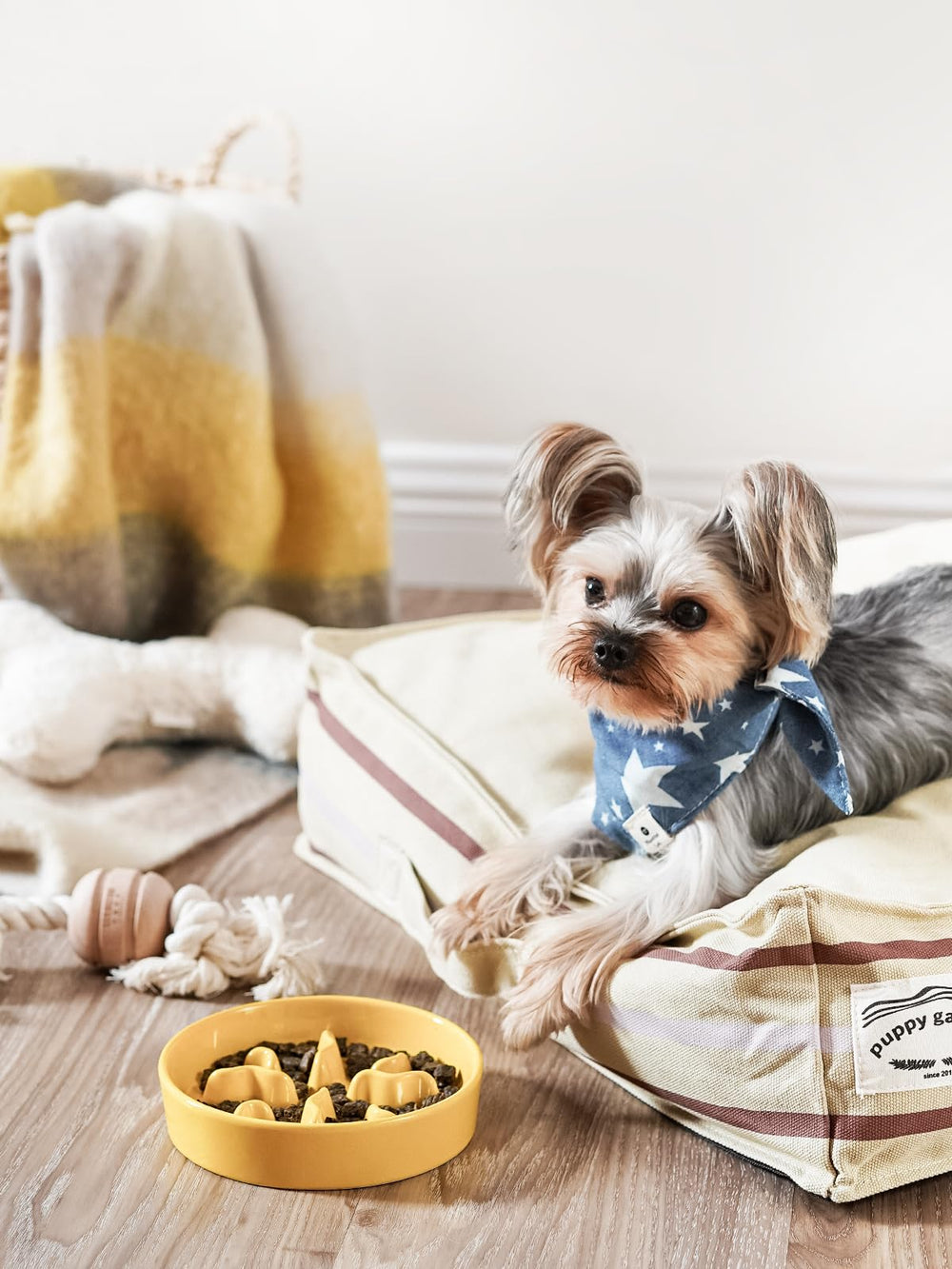 LE TAUCI PET ceramic slow feeder bowl yellow full-dish view supports portion control during meals
