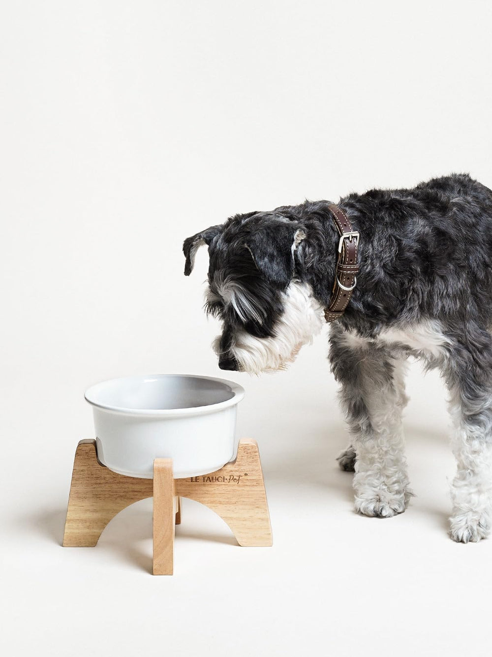 LE TAUCI PET colorful ceramic bowls brighten mealtime and complement home decor.