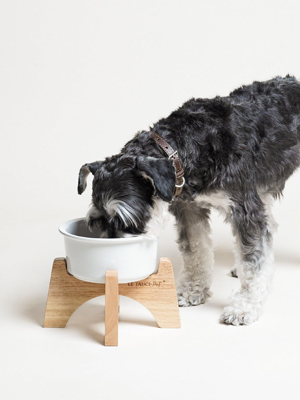 LE TAUCI PET elevated dog feeder shows 6.5-inch height for small to medium breeds.