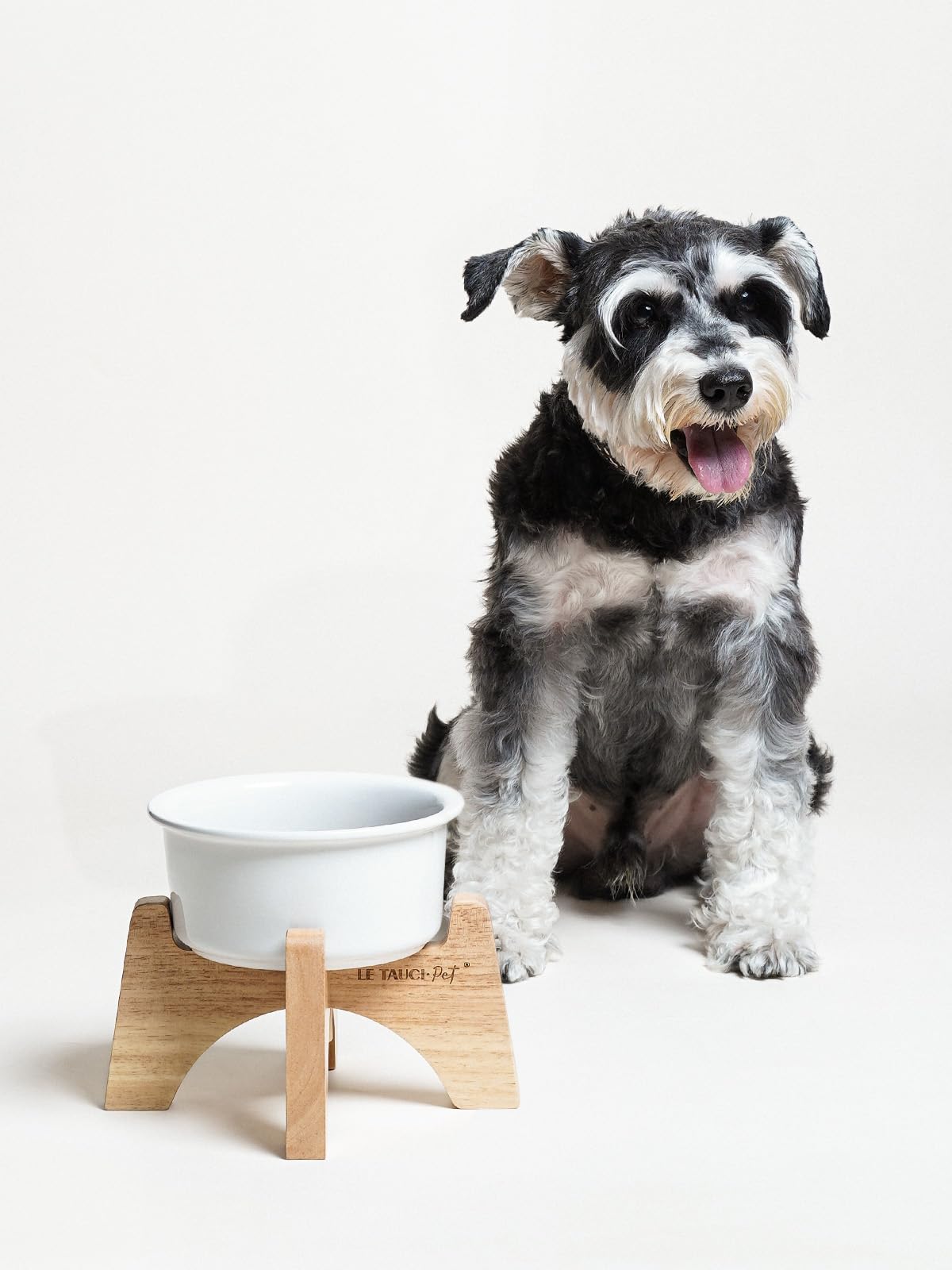 LE TAUCI PET elevated design supports ergonomic neck and spine alignment during meals.