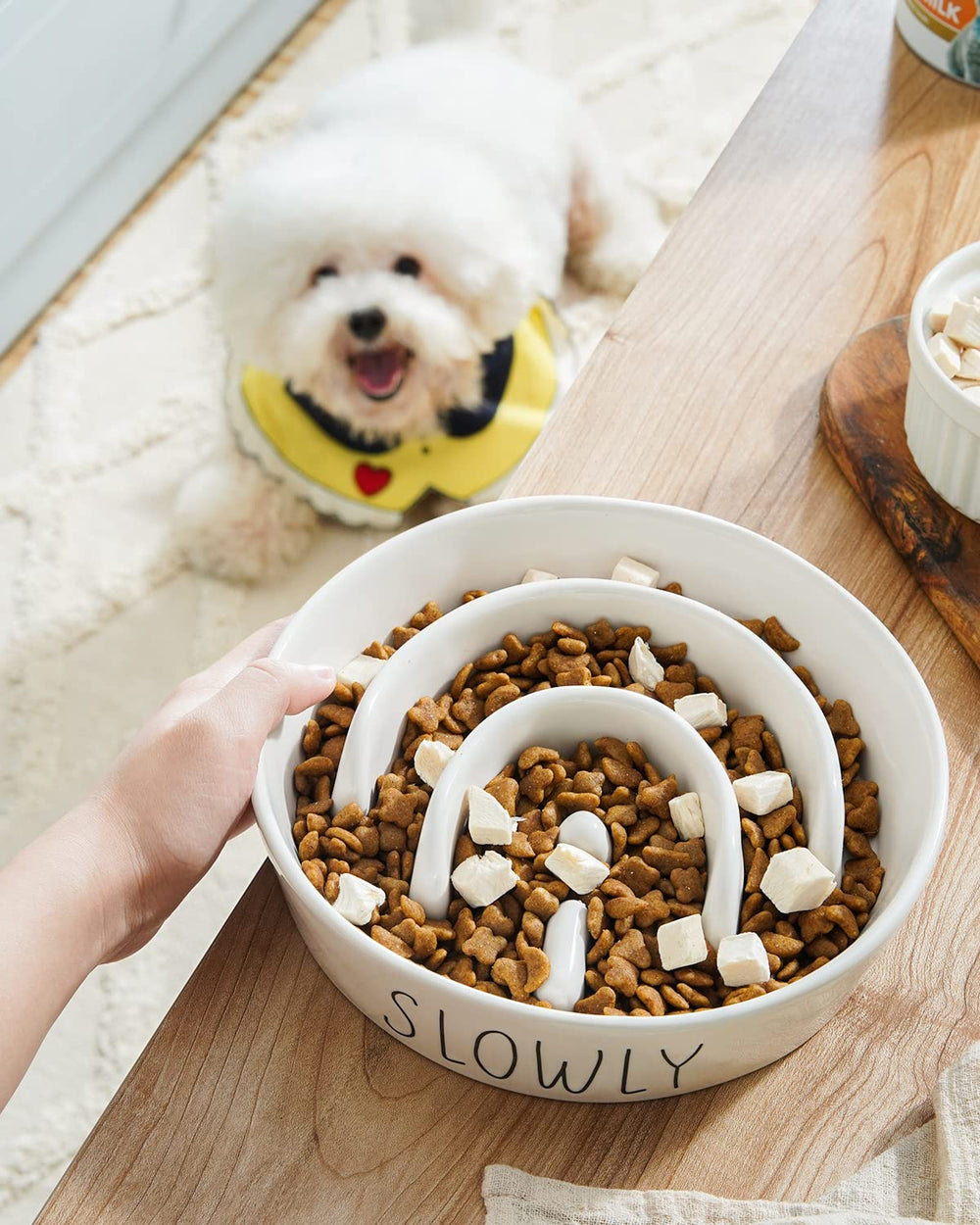 LE TAUCI PET premium ceramic bowl offers durable, safe feeding
