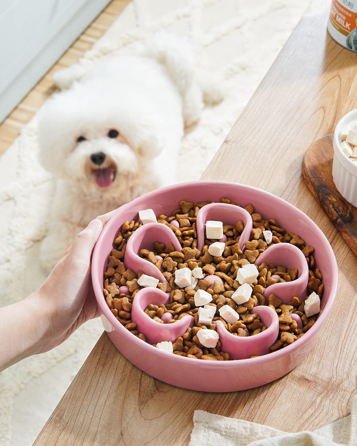 LE TAUCI slow feeder bowl ceramic pink bloom dog mealtime scene