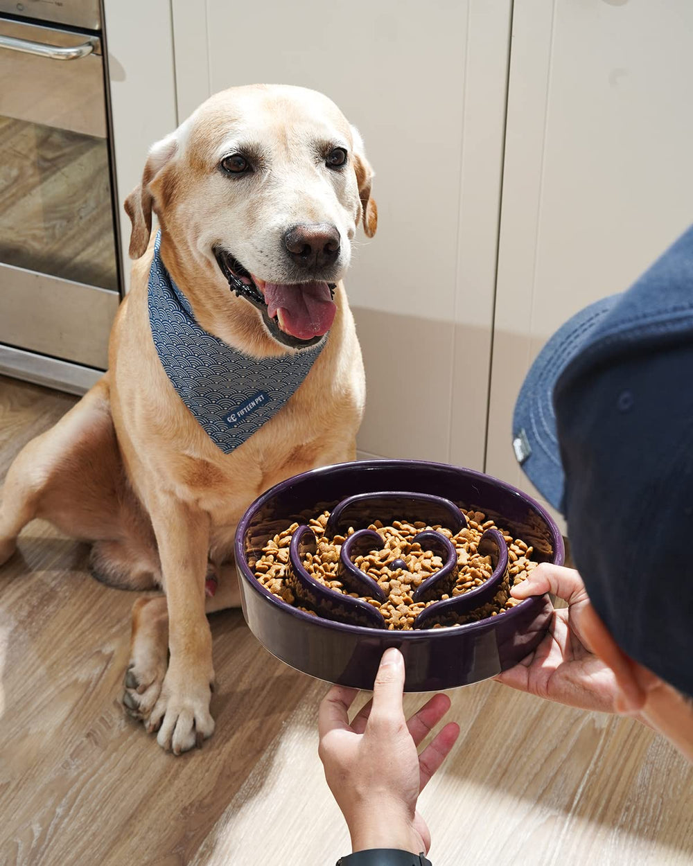 LE TAUCI slow-feeder ceramic purple maze bowl shown from above for mindful eating.
