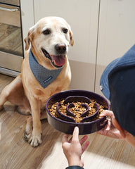 LE TAUCI slow-feeder ceramic purple maze bowl shown from above for mindful eating.