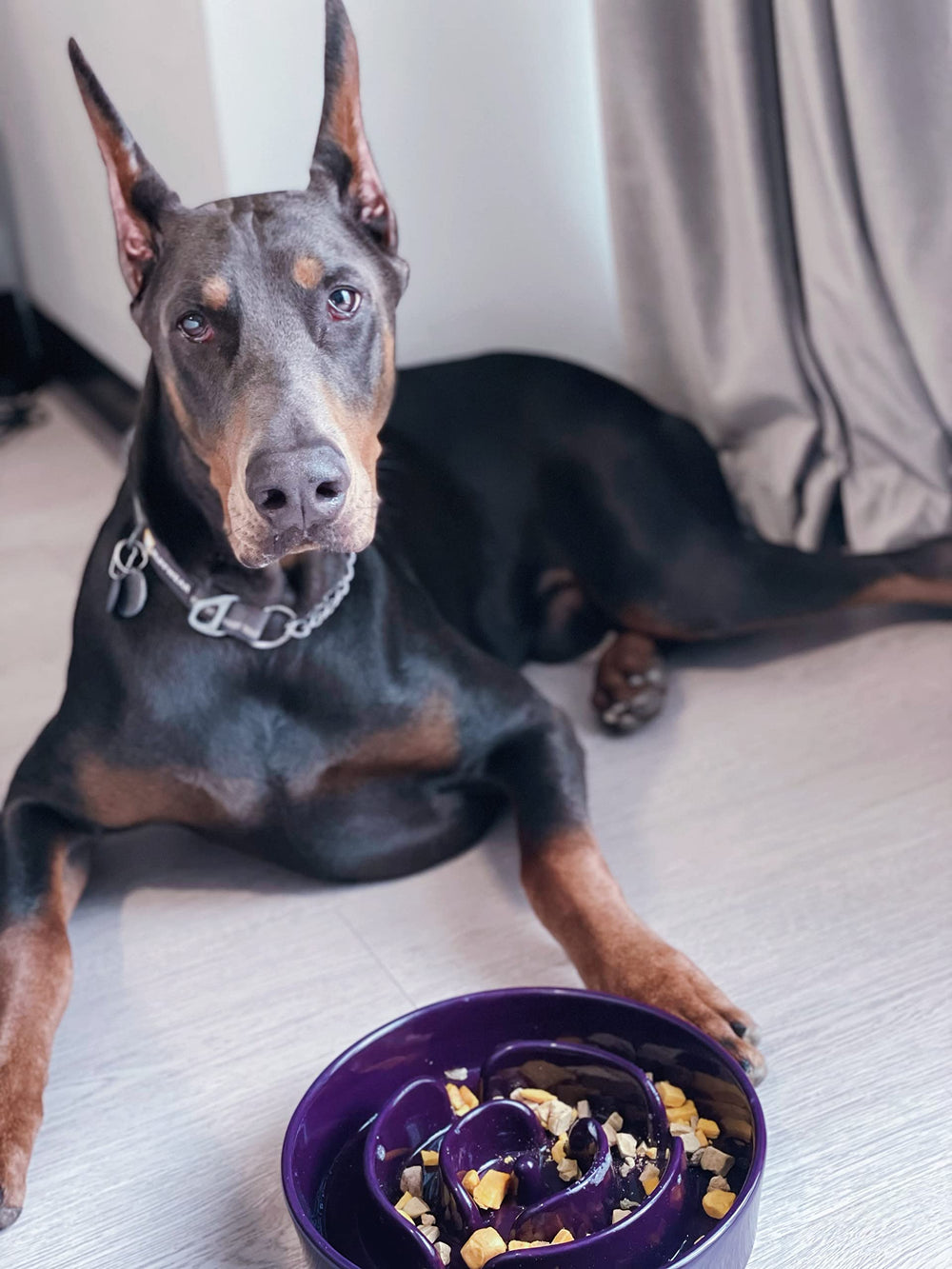 LE TAUCI ceramic bowl features durable glaze and easy cleaning after meals.