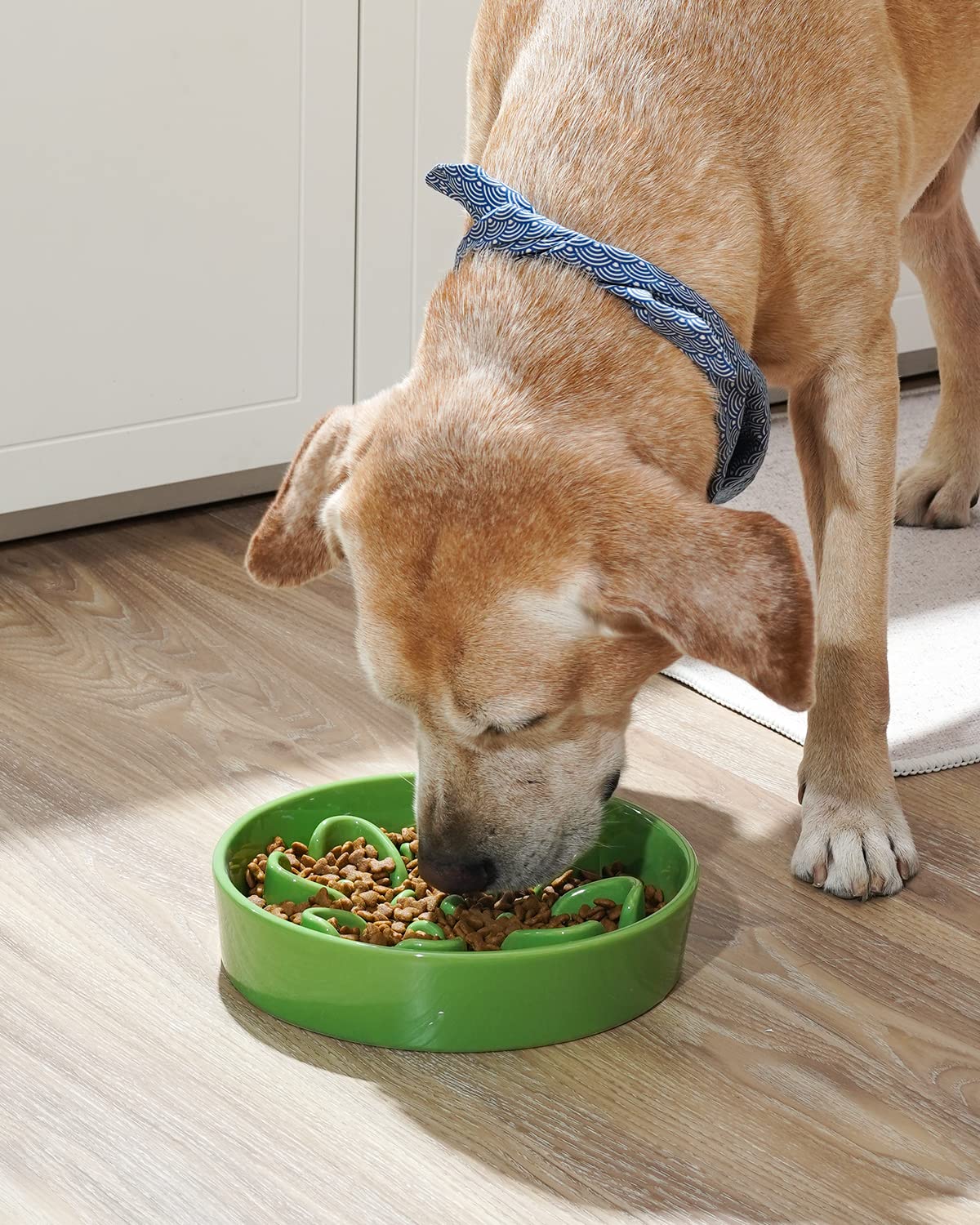 LE TAUCI slow feeder dog bowl ceramic 3 cups closeup durable ceramic material