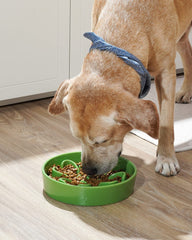 LE TAUCI slow feeder dog bowl ceramic 3 cups closeup durable ceramic material