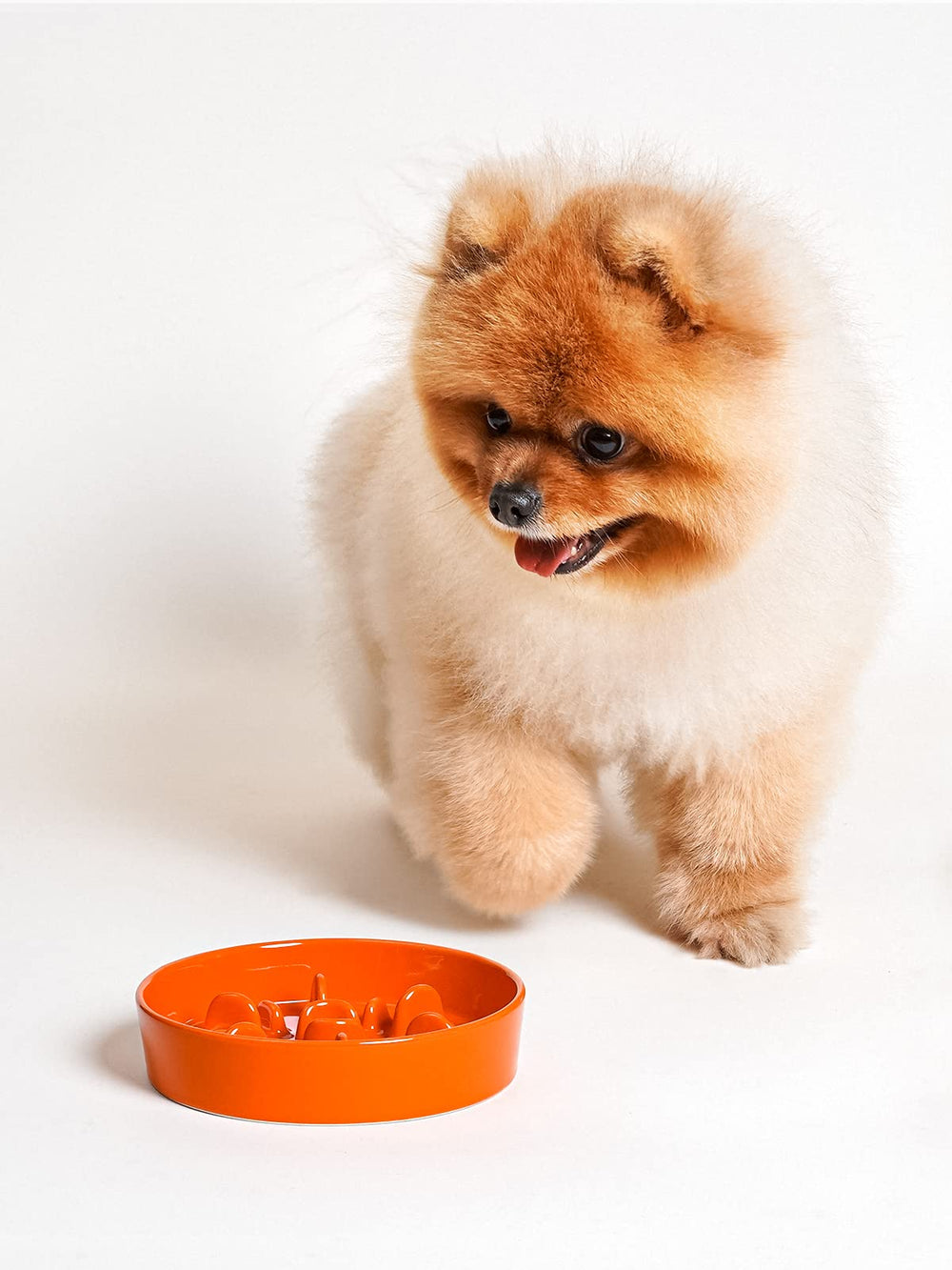 LE TAUCI sun-orange ceramic slow feeder bowl during meals for small pets