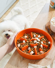 LE TAUCI Sun Orange slow feeder bowl side view highlights non-slip base for mess-free meals.