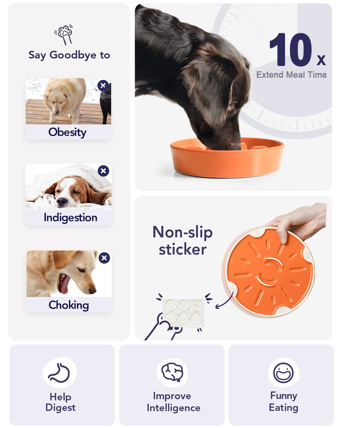 LE TAUCI Sun Orange dog-eating slow feeder demonstrates paced mealtimes for small dogs.