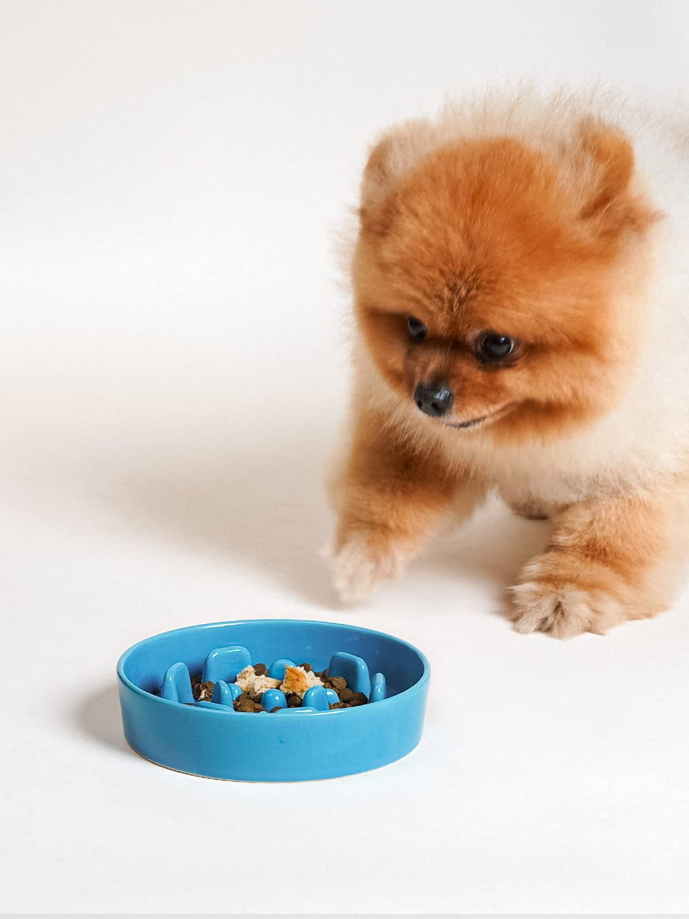 LE TAUCI Vortex Blue bowl on kitchen counter helps keep feeding organized.