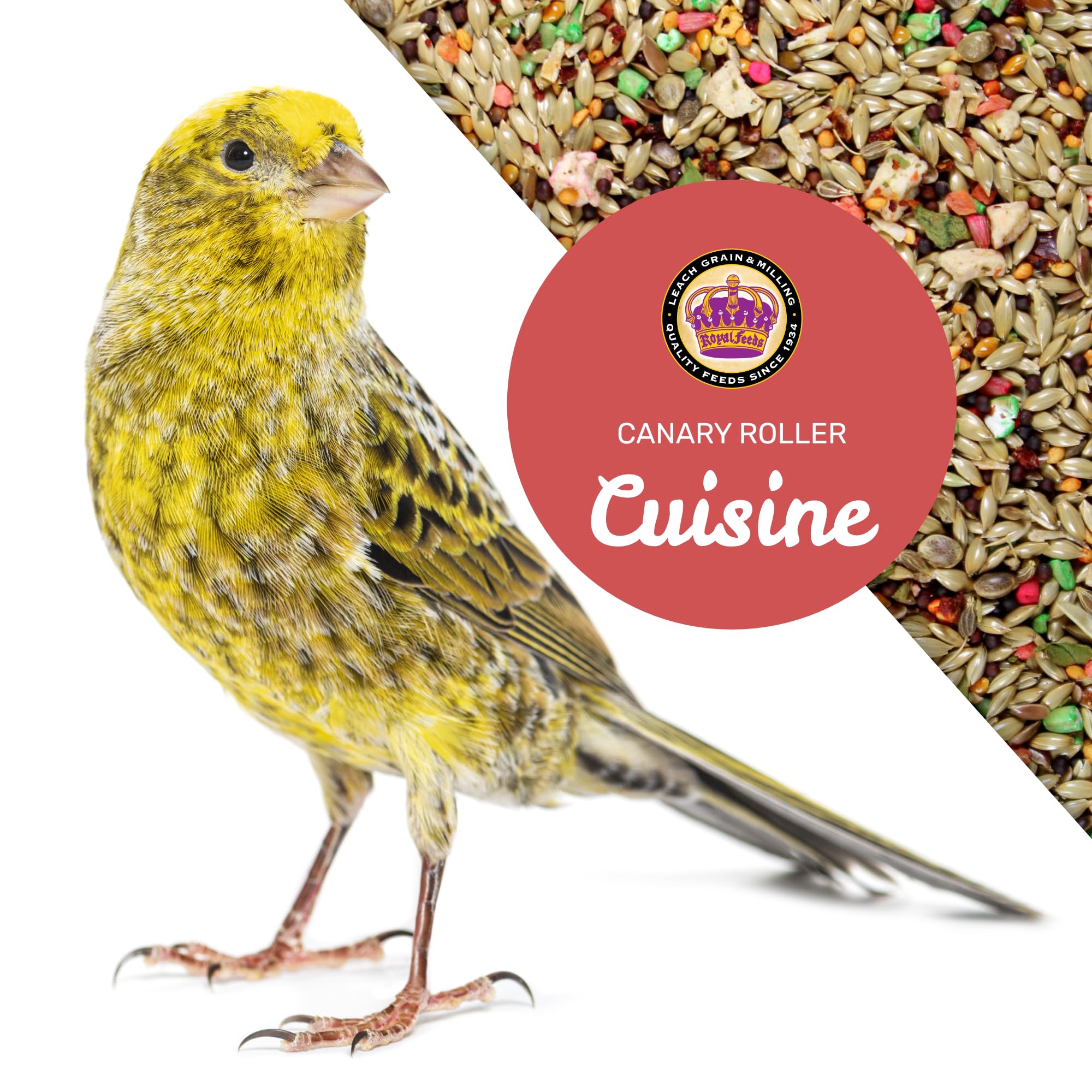 LEACH GRAIN AND MILLING CO Canary Cuisine vitamin-enriched blend image showing spinach and oat groats.