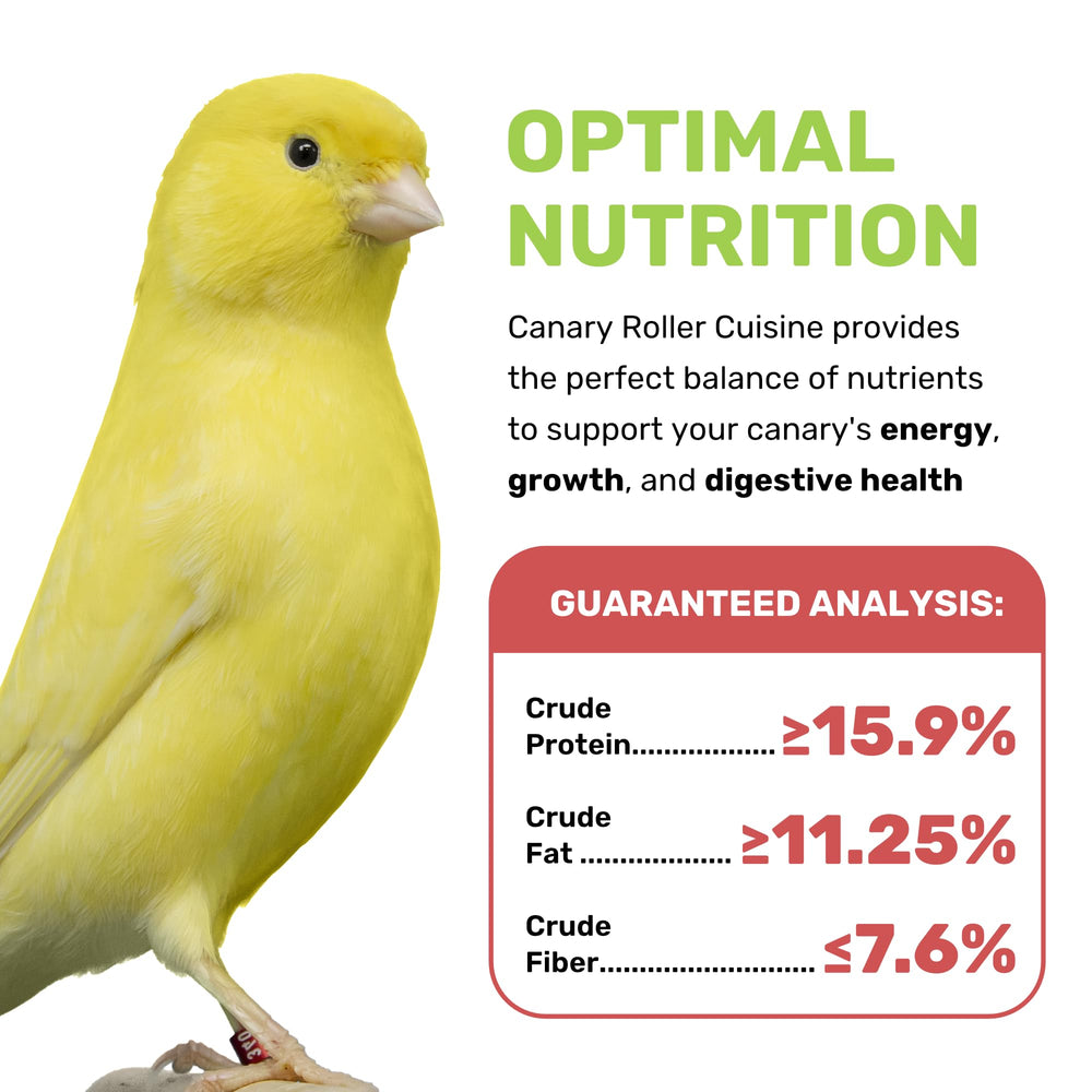 LEACH GRAIN AND MILLING CO Canary Cuisine ingredients closeup highlights flax seed and saffron benefits.
