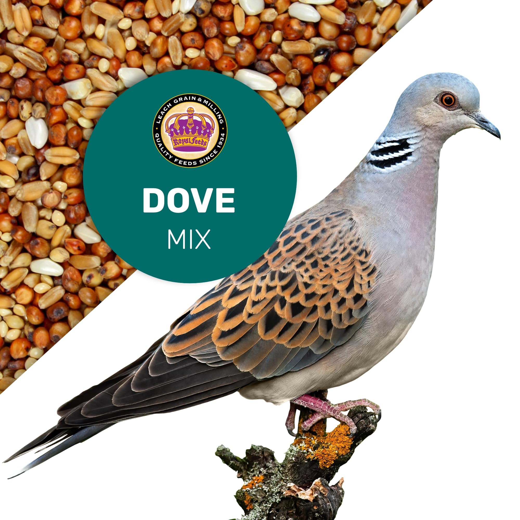 LEACH Dove Mix in an outdoor feeder setup for backyard birds.
