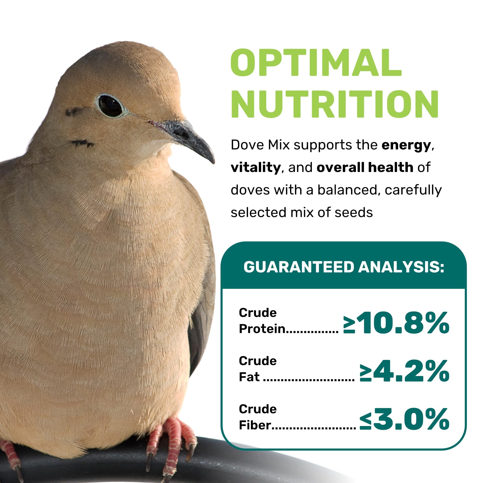 LEACH Dove Mix close-up of premium seeds for a balanced diet.
