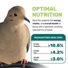LEACH Dove Mix close-up of premium seeds for a balanced diet.