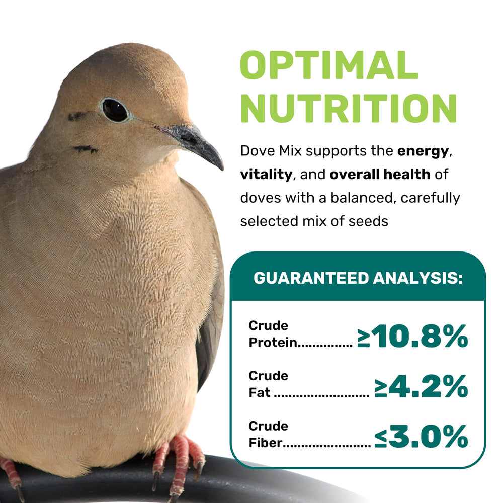 Leach Grain & Milling Co outdoor dove feeder supports steady energy in the yard.