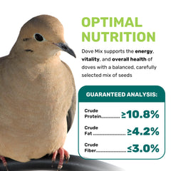 Leach Grain & Milling Co outdoor dove feeder supports steady energy in the yard.