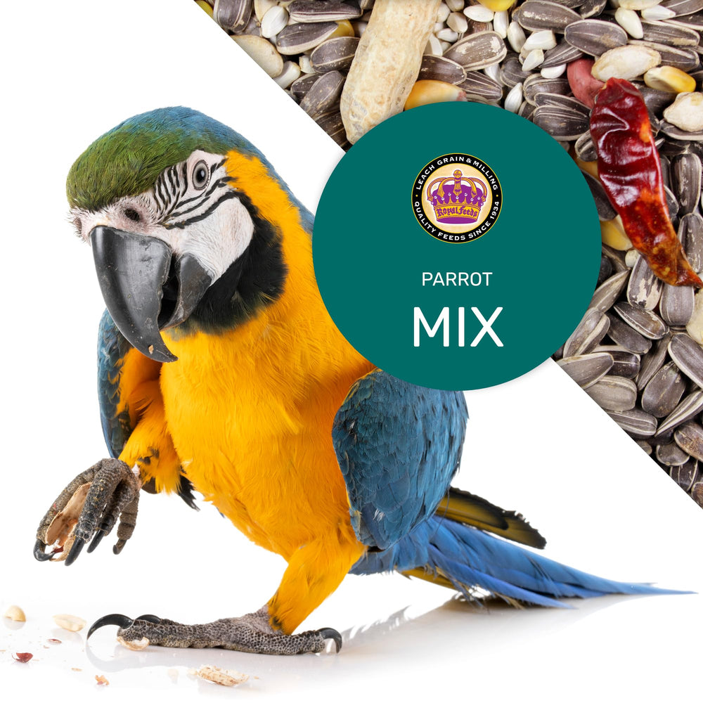 LEACH Parrot Mix foraging shot emphasizes mental stimulation through varied textures.