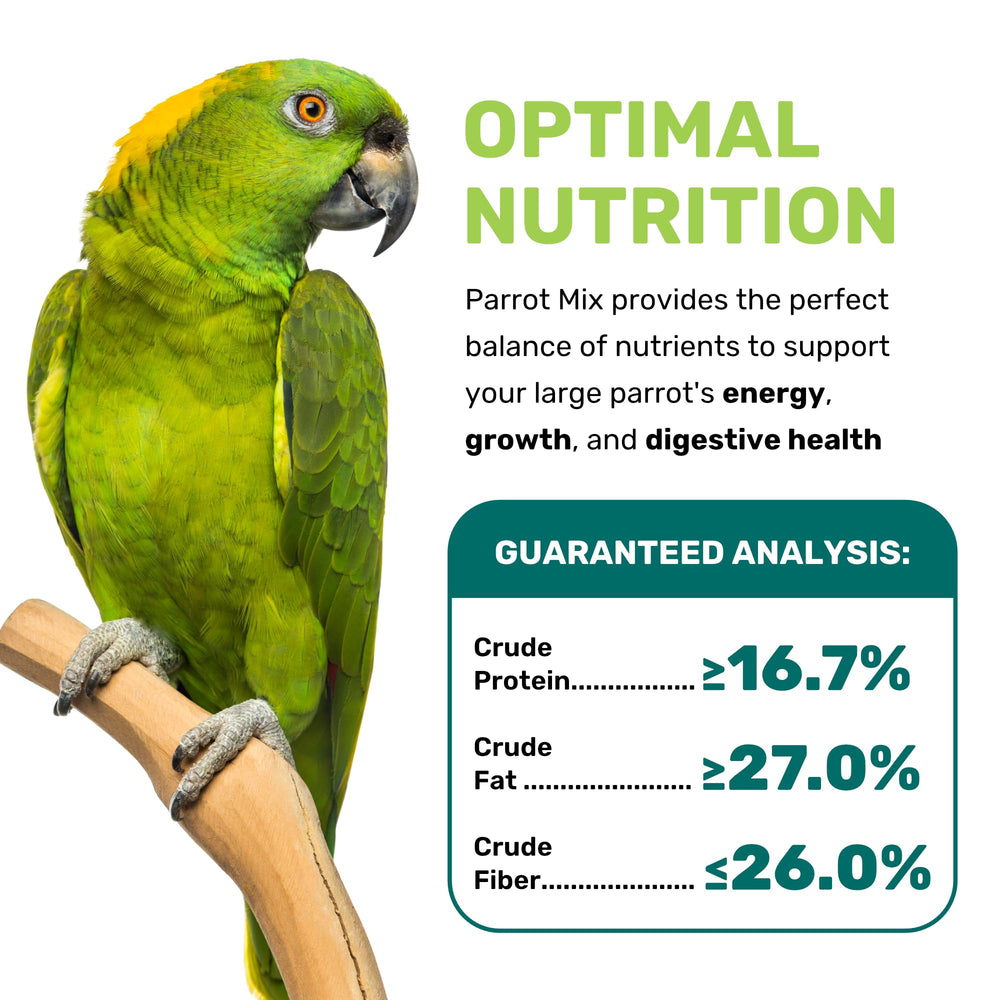 LEACH Parrot Mix portion serve image demonstrates serving on a dish or feeder.