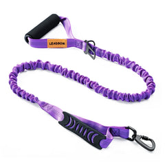 LEADSOM 6ft elastic bungee leash with padded handle for comfortable daily walks.
