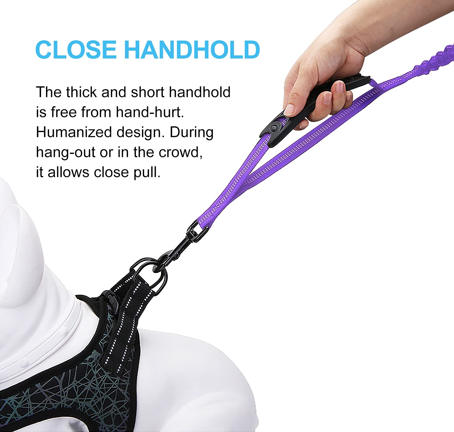 LEADSOM padded-handle leash offers comfortable control during walks and runs.