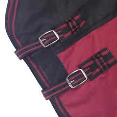 LEAFOREST turnout blanket with crisscross belly straps supports stable fit on varied body shapes.