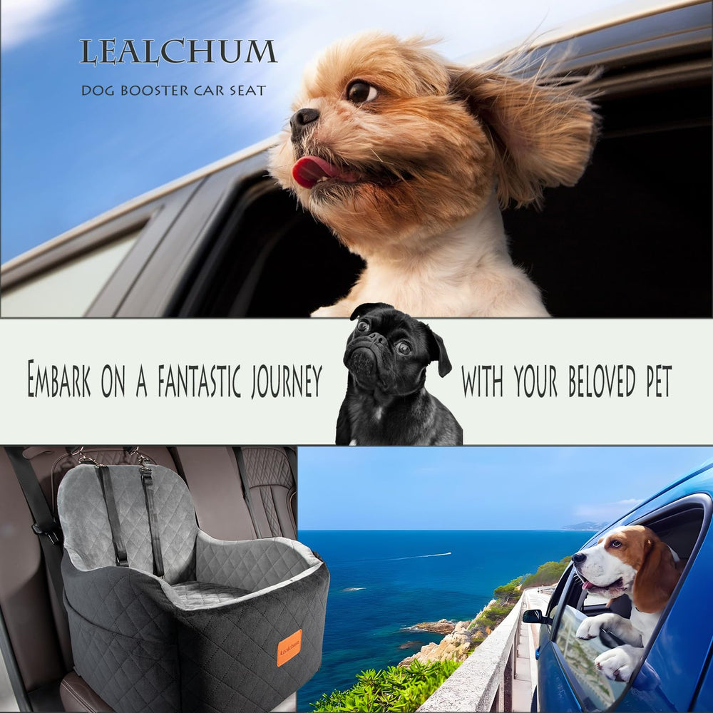 Lealchum dog booster seat elevated view helps dog observe surroundings