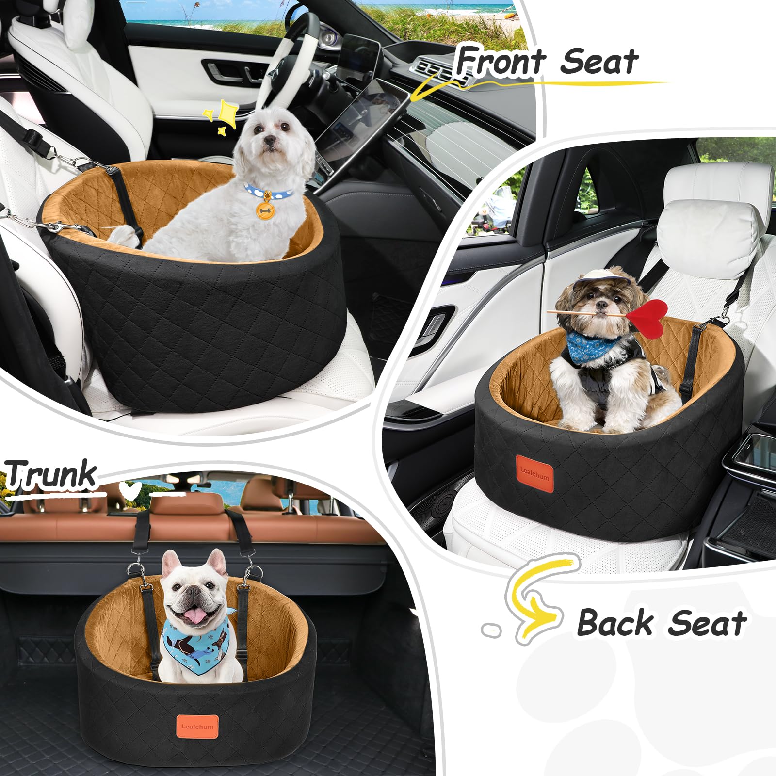 Lealchum car seat fits installation on front or rear seats
