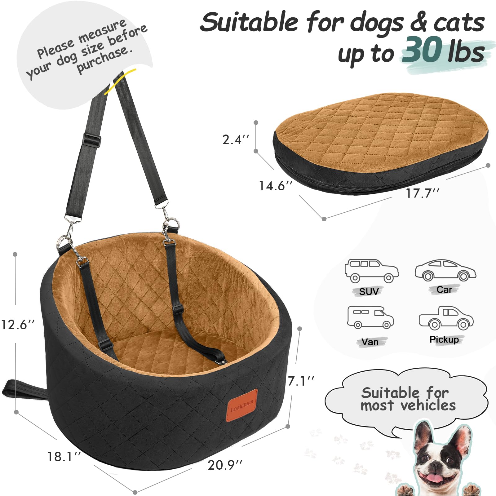 Lealchum seat includes two leashes for secure travel safety