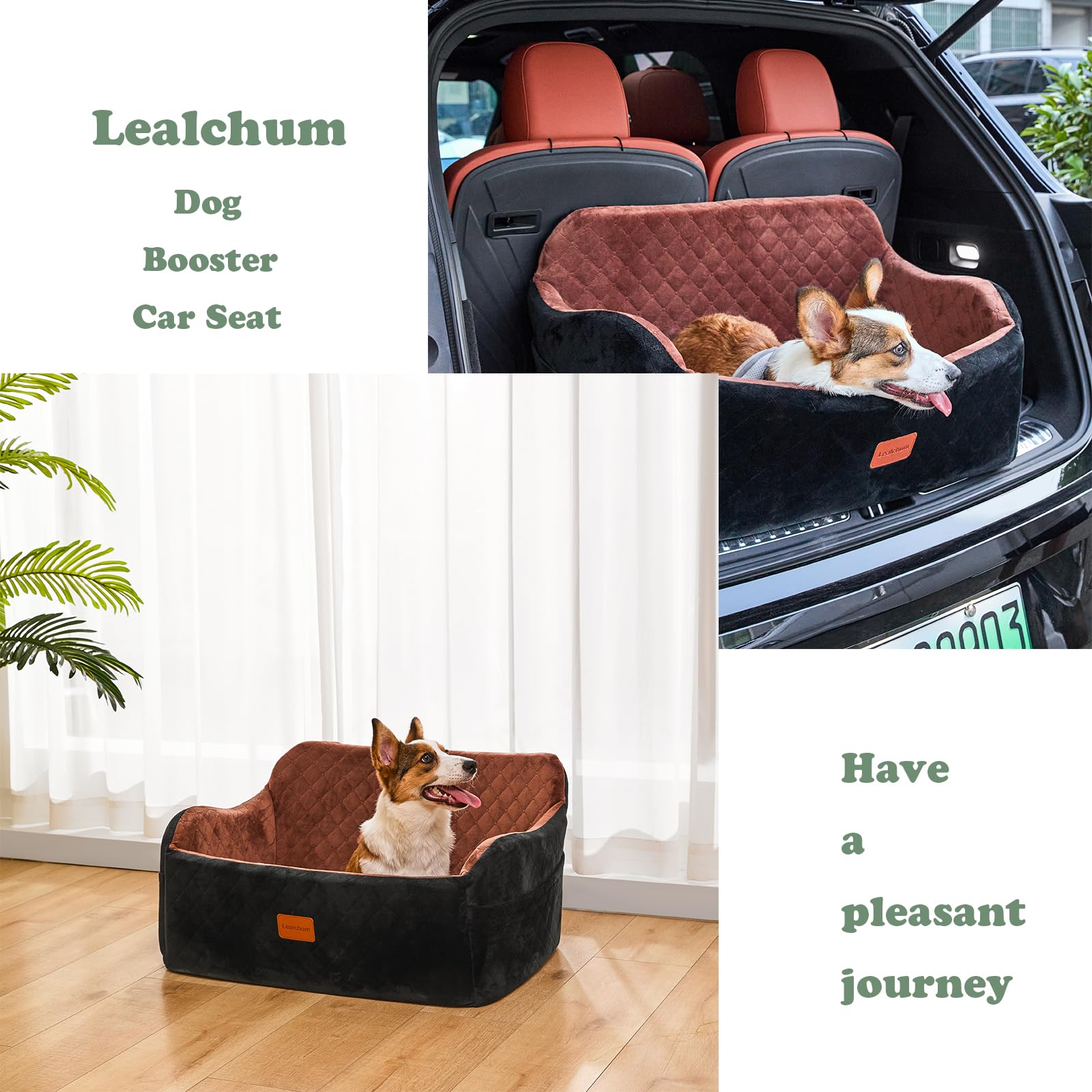 Lealchum dog seat two storage pockets offer easy gear organization