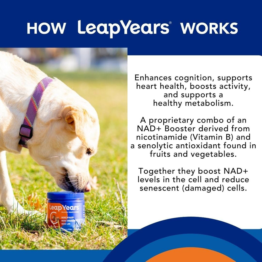 Leap Years beef-flavored soft chew taste-test, palatable option for easy dosing.