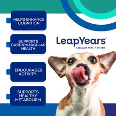 Leap Years patent-pending formula label, signals vet-formulated nutritional support.