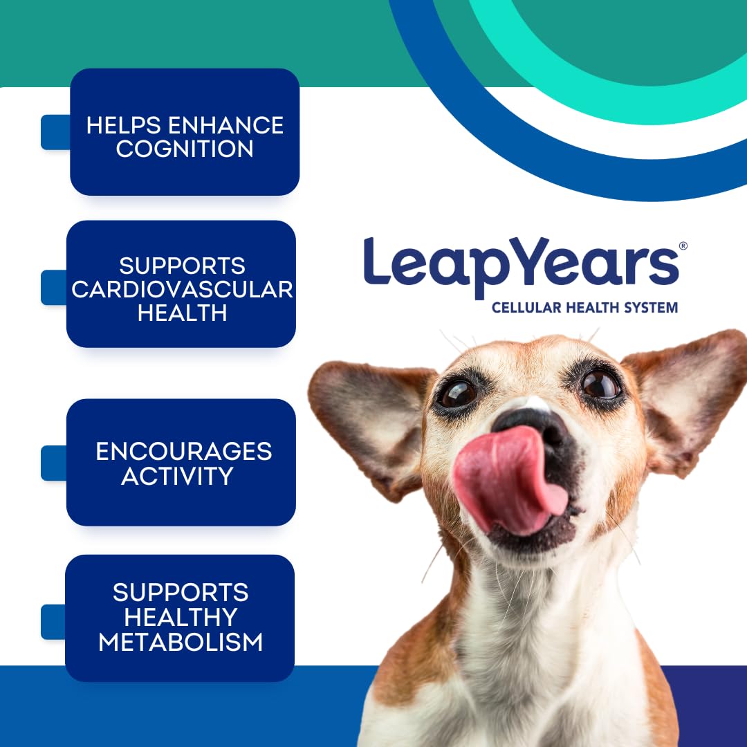 Leap Years Soft Chew beef-flavored treats ready for daily use.
