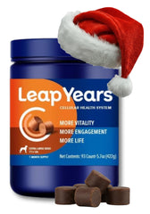 Leap Years Soft Chew dog supplement bottle with vet-formulated aging support.
