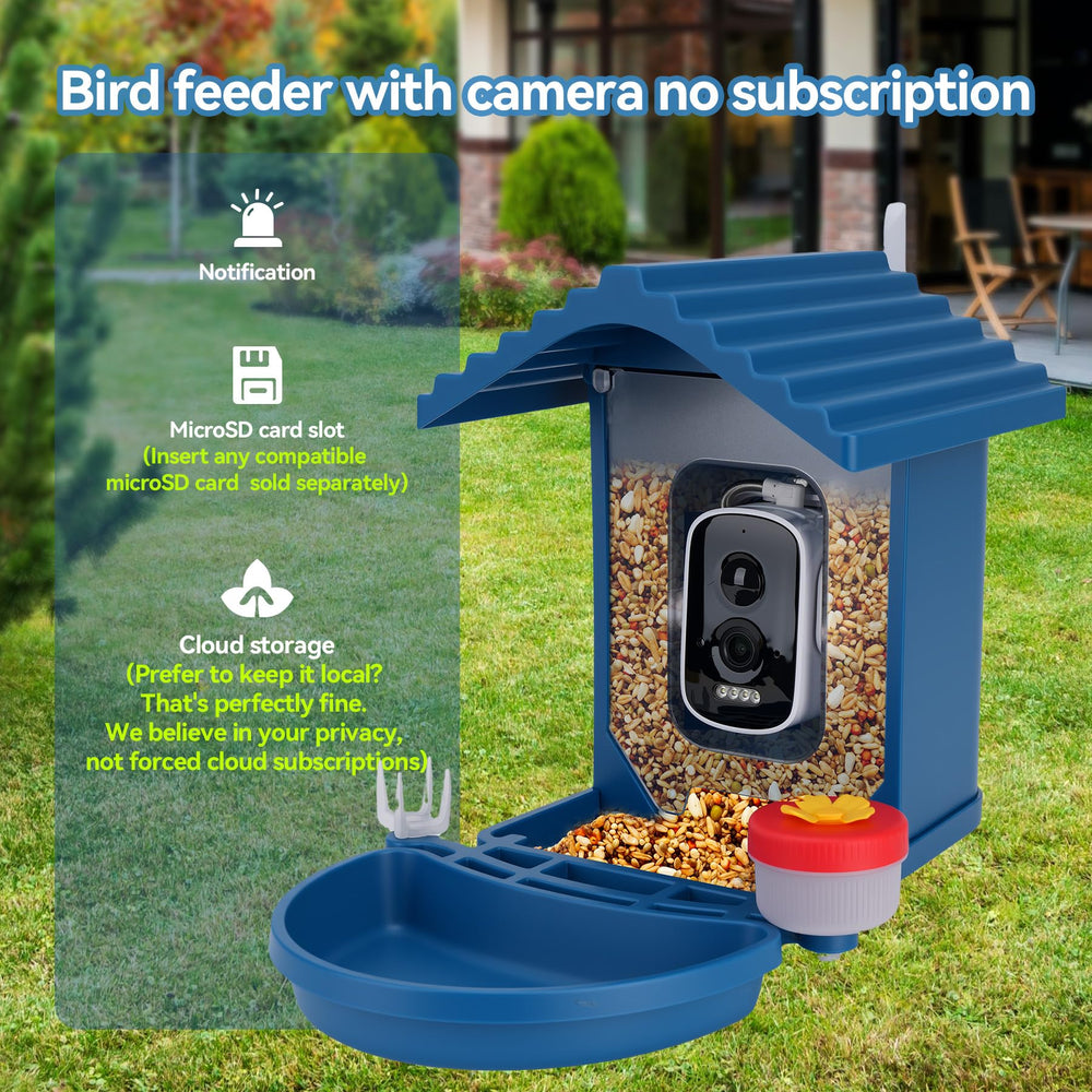 Leapbird 2-5K video feed reveals feather details during day and night.