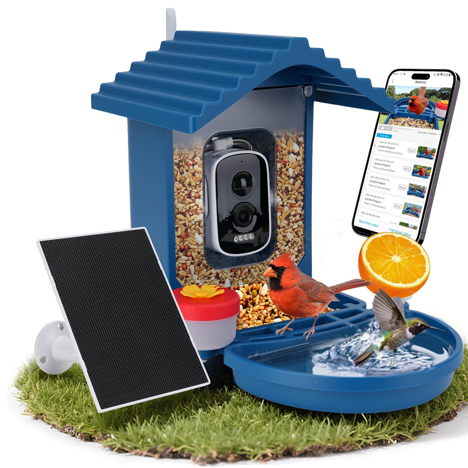 Leapbird bird feeder camera in backyard view captures active birds for easy observation.