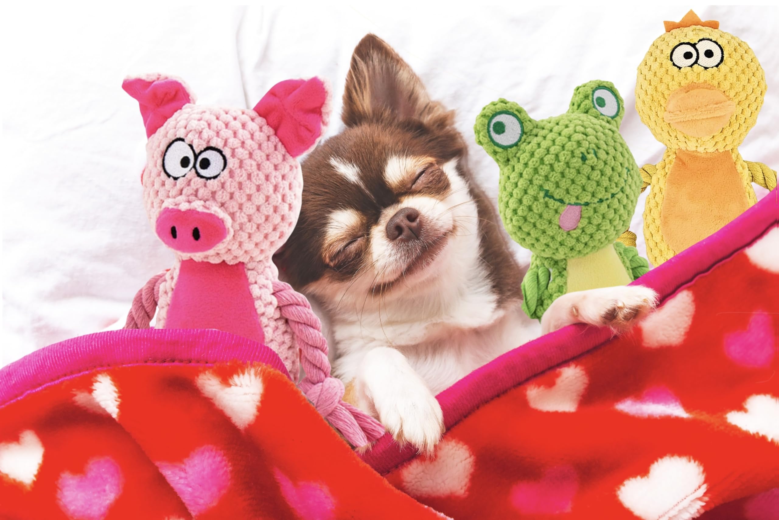Leash and Leisure Farm Friends frog toy durable for chewing and gentle tugging
