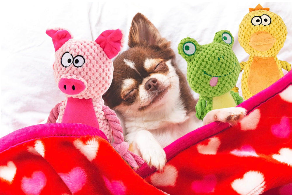 Leash and Leisure Farm Friends frog toy durable for chewing and gentle tugging