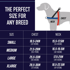 Leash Boss bungee rear-clip absorbs shock for calmer pulls during play and training.