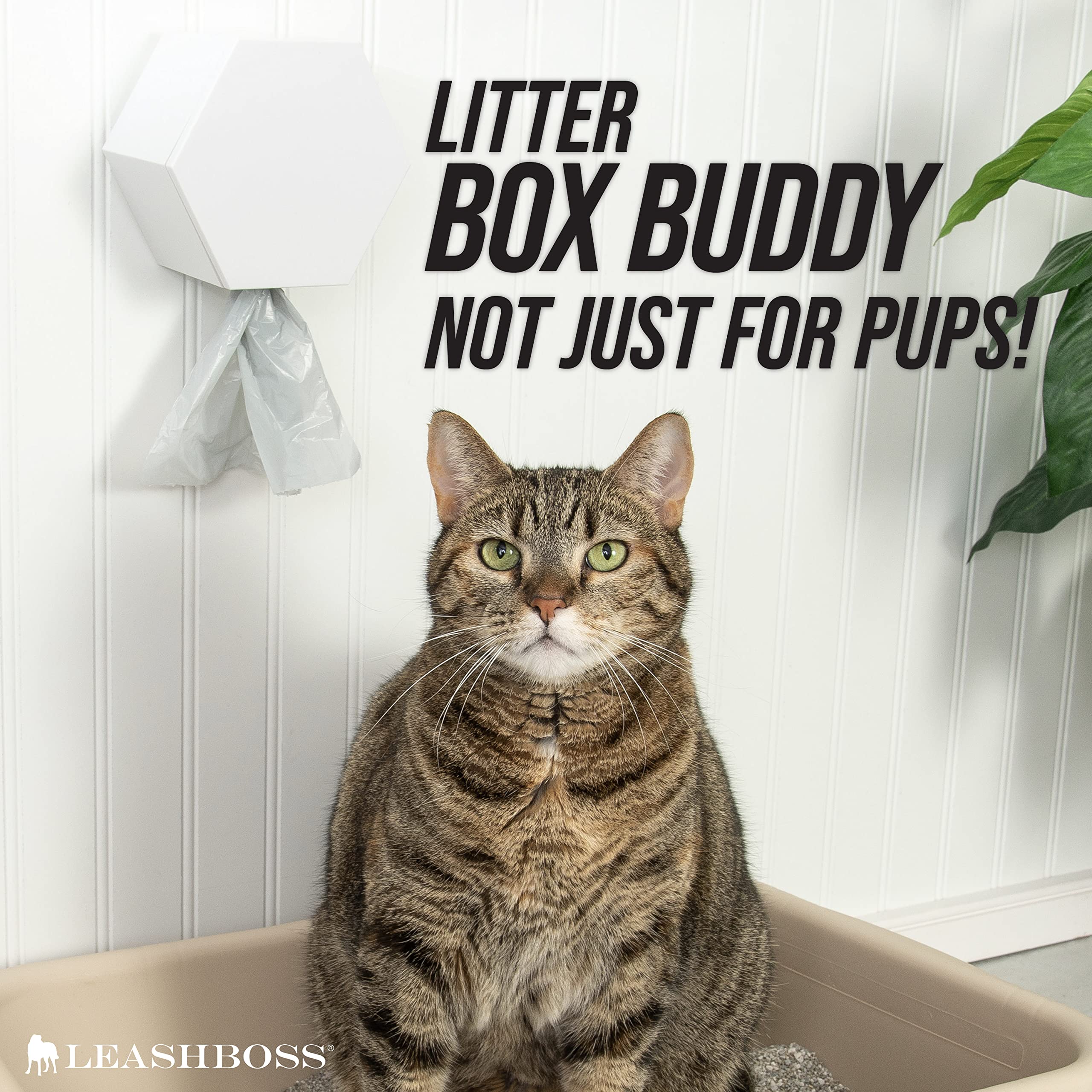 Leash Boss proprietary container close-up highlights easy tear-off bag mechanism.