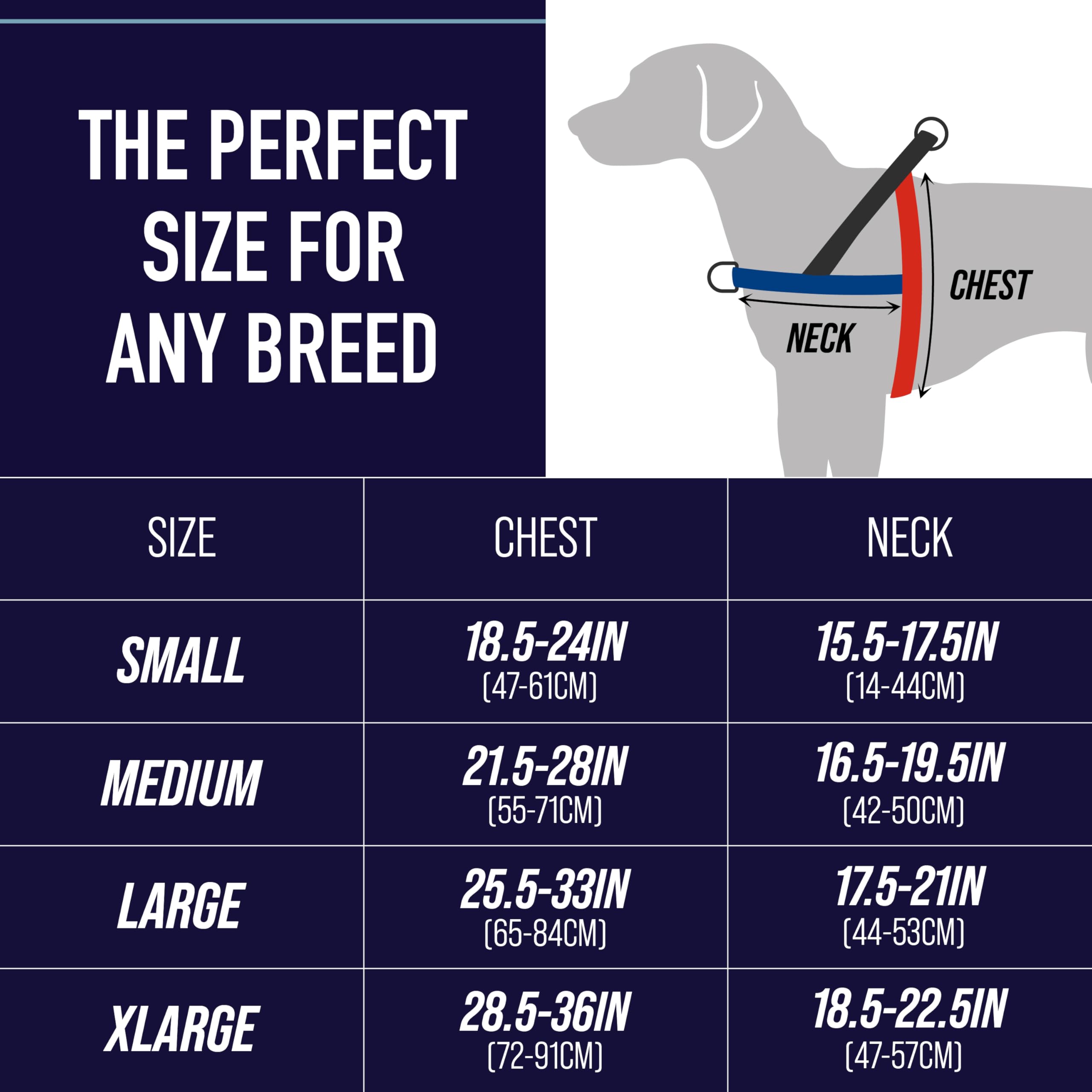 Leash Boss No Pull Harness rear clip supports comfortable, long-leash playtime